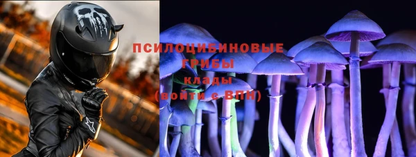 ПСИЛОЦИБИНОВЫЕ ГРИБЫ Алзамай