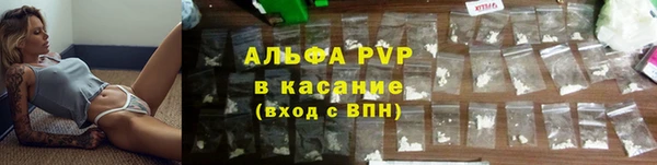 ПСИЛОЦИБИНОВЫЕ ГРИБЫ Алзамай