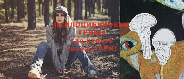сатива Алексеевка