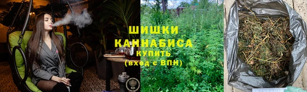 ПСИЛОЦИБИНОВЫЕ ГРИБЫ Алзамай