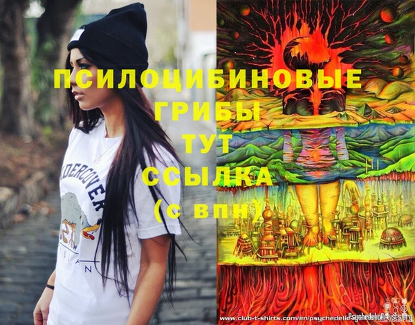 ПСИЛОЦИБИНОВЫЕ ГРИБЫ Алзамай