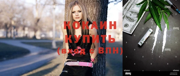 метадон Алексин